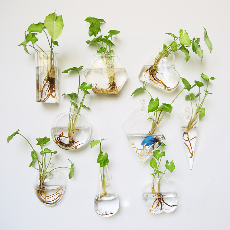 Self-Watering Planter - กระถางต้นไม้แก้วแขวนผนัง - กระถางปลูกพืชแบบไฮโดรโปนิกส์รดน้ำเองได้ สำหรับตกแต่งบ้านและสำนักงาน กระถางปลูกพืชไฮโดรโปนิกส์และตู้ปลา