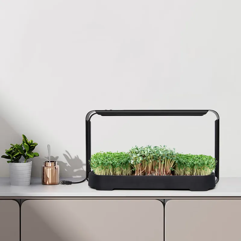 ระบบปลูกผักไมโครกรีนแบบไฮโดรโพ - Self-Watering Planter บทวิจารณ์และราคา
