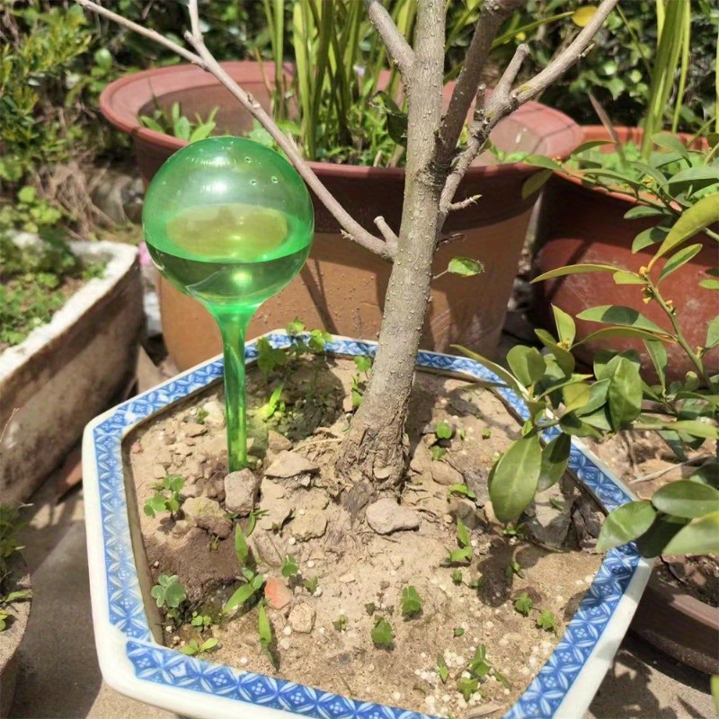 ลูกบอลรดน้ำต้นไม้ในร่ม 6 ชิ้น  - Automatic Plant Waterer บทวิจารณ์และราคา