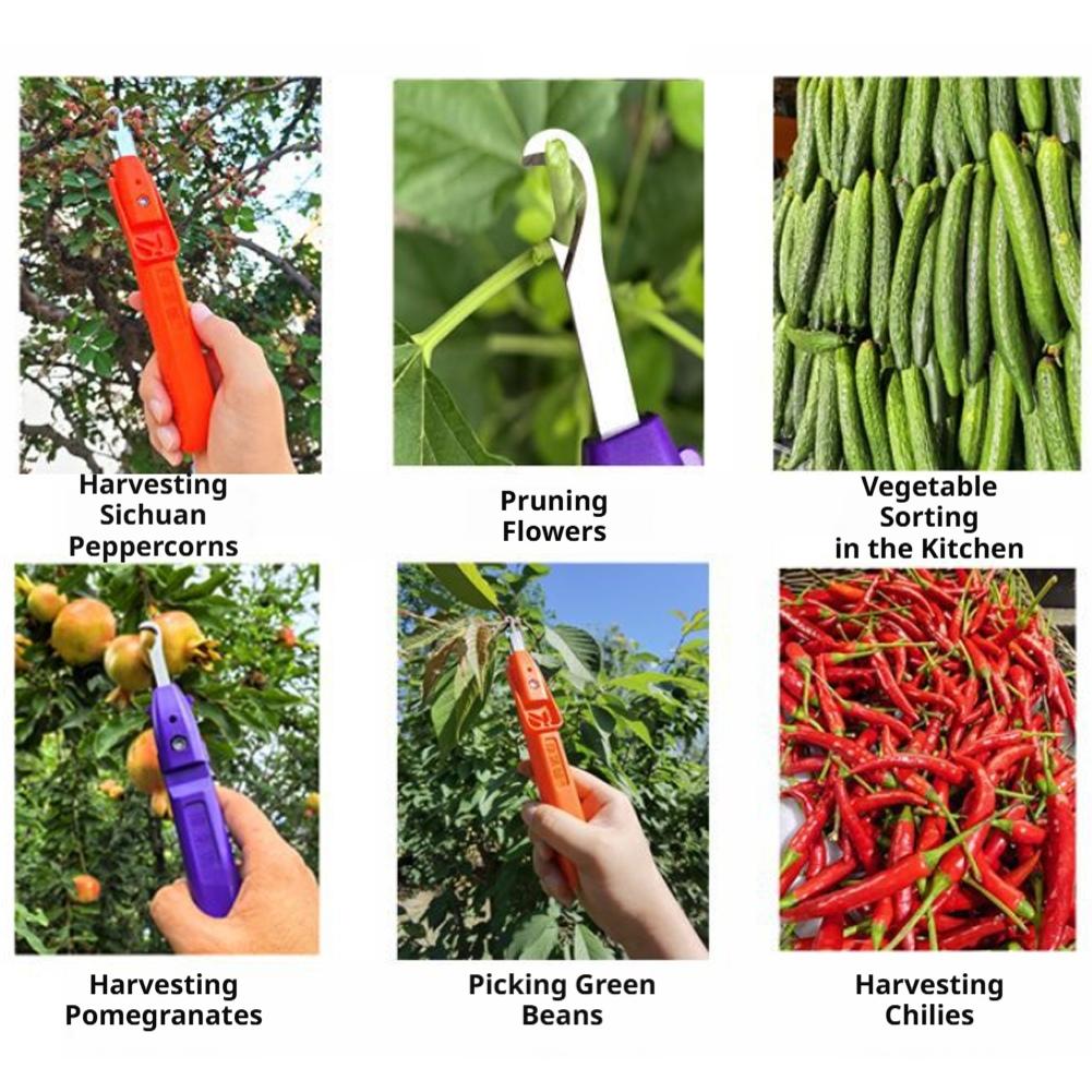 เครื่องมือตัดแต่งกิ่งอเนกประสง - Gardening Tools Vegetables บทวิจารณ์และราคา