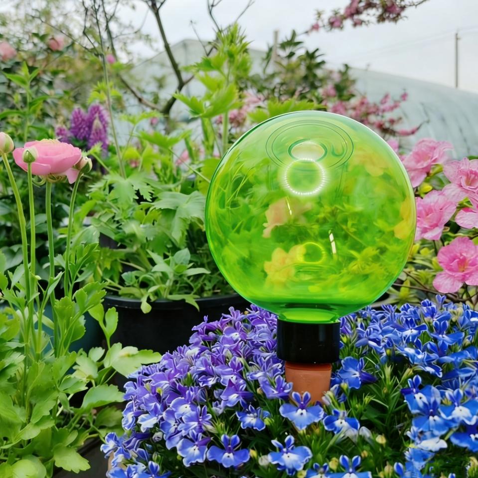 ลูกบอลรดน้ำต้นไม้ขนาดใหญ่ 3 ชิ - Self-Watering Planter บทวิจารณ์และราคา